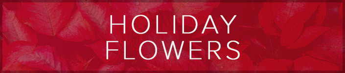 Festive flowers to make the season bright, delivered throughout Anchorage or across the United States by Bagoy's Florist!