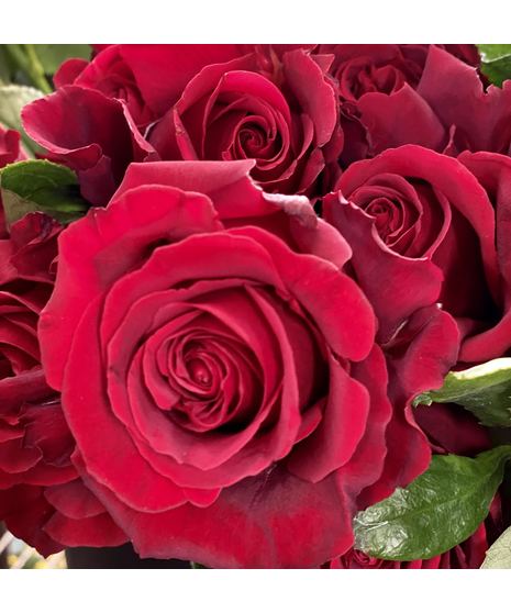 Rose Presentation Bouquet