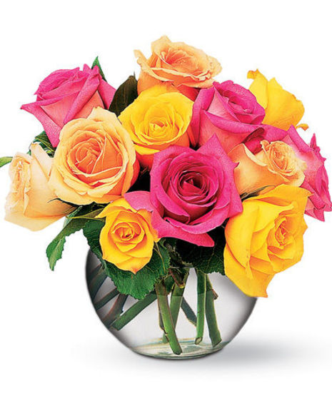Springtime Roses