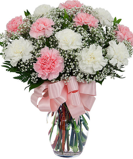 Pink Coral