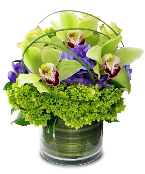 Cymbidium Swirls
