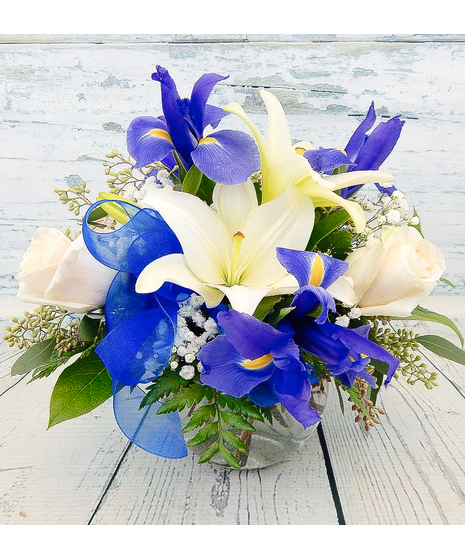 Iris Snow