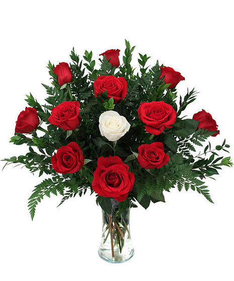 My One True Love roses