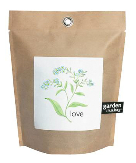 Love Garden in a Bag, forget-me-not plant growing seed kit