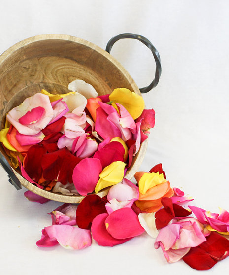 Bag of Fresh Red Rose Petals