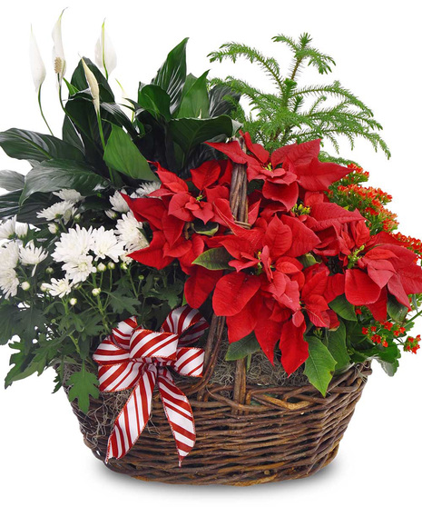 Holiday Garden Basket