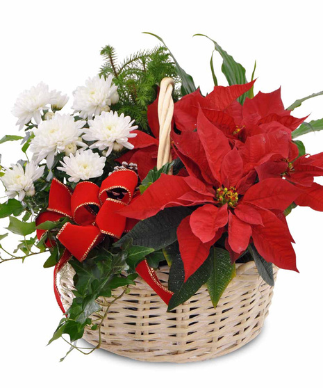 Christmas Cottage Garden