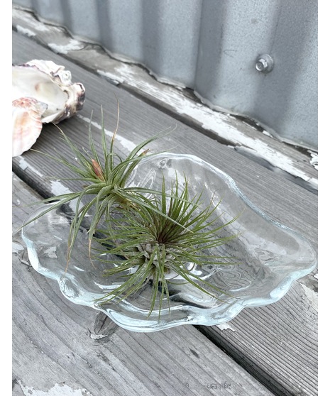 Architectural concrete and glass air planter set, Modern Aire