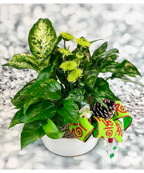 Grinch Garden
