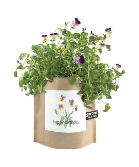 Happy Birthday Garden in a Bag