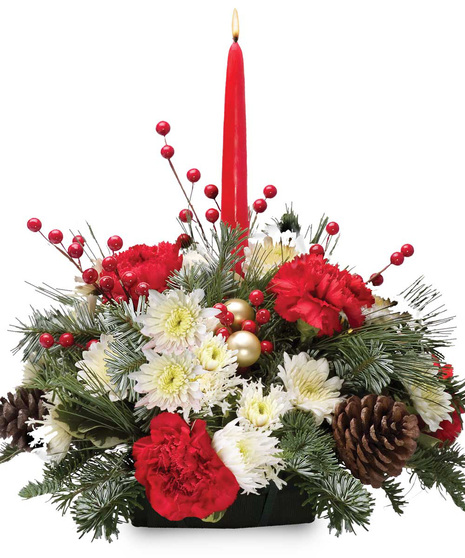 Holiday Charmer