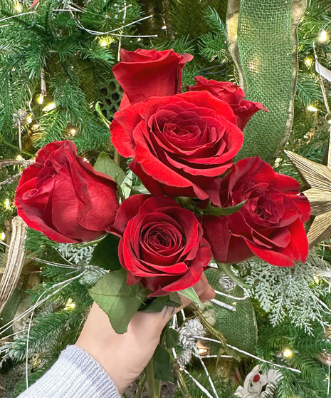 6 Rose Special Addon