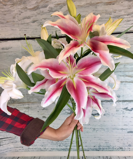 Lilies Added