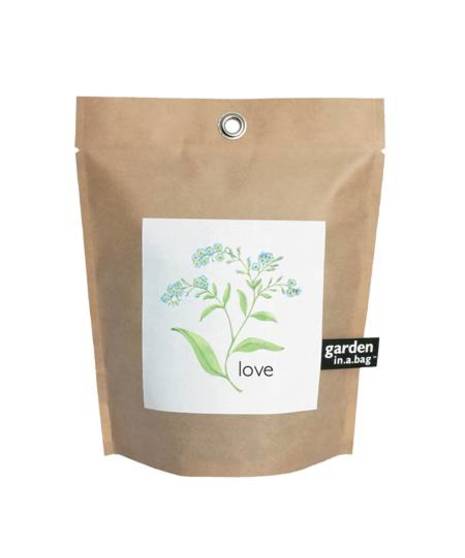 Love Garden in a Bag, forget-me-not plant growing seed kit