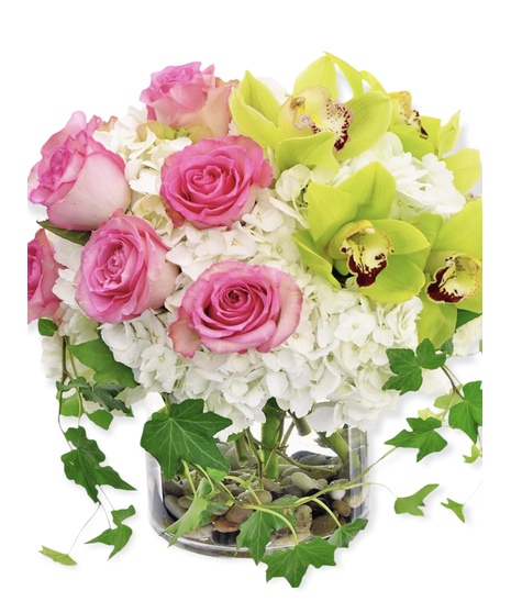 Orchids And Ivy Flower Delivery Largo FL - Rose Garden Florist