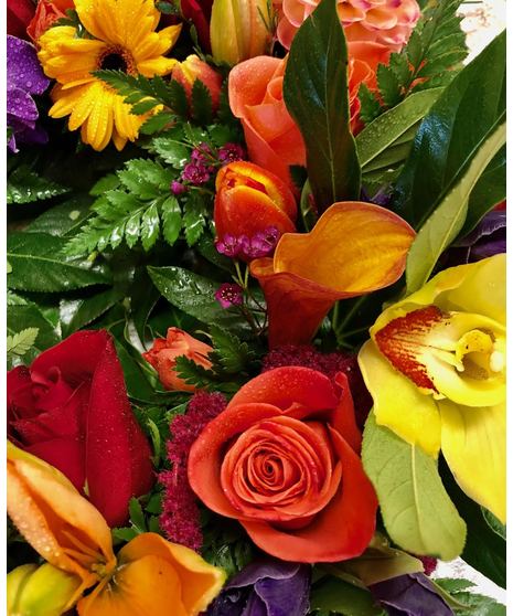 Lifestyle | Anchorage Flowers, Plants, & Gifts | Bagoy's Florist