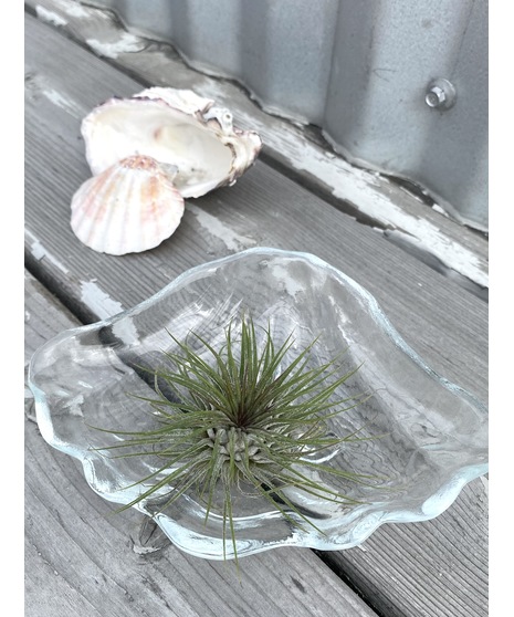 Modern Aire Contemporary Collection