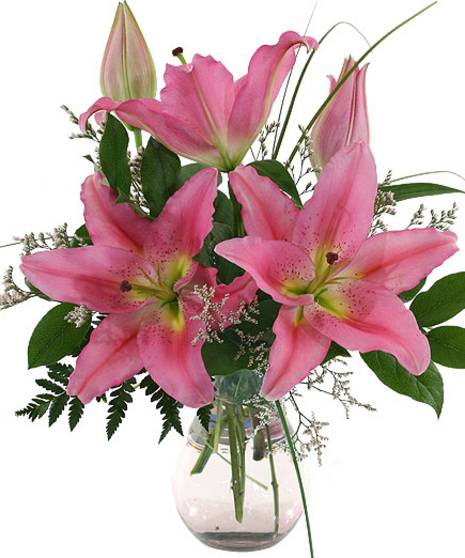 Sweet Dreams, a compact vase of Stargazer Lilies