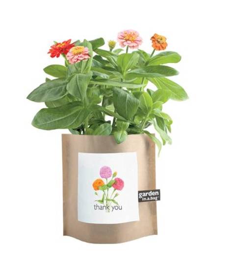 Thank You Garden in a Bag