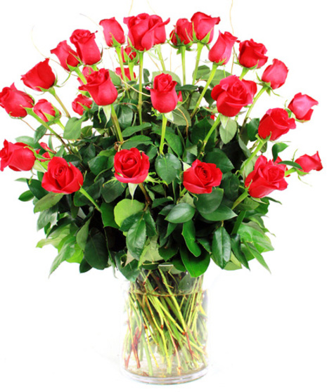 Three dozen roses with assorted greenery and filler in a tall vase