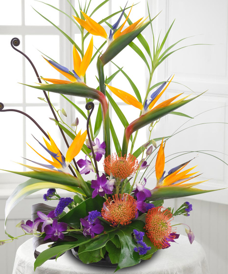 Tropical Flower Delivery Anchorage, Alaska | Bagoy's Florist & Home