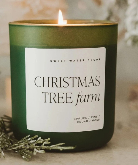 Yule Tree in a Bag,  growing seed kit