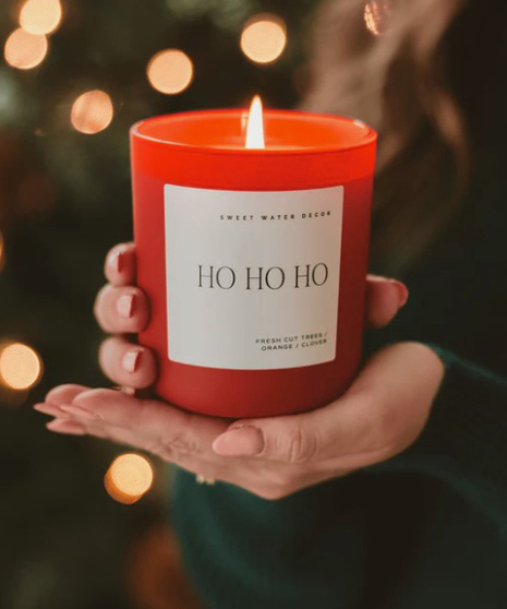 Yule Tree in a Bag,  growing seed kit