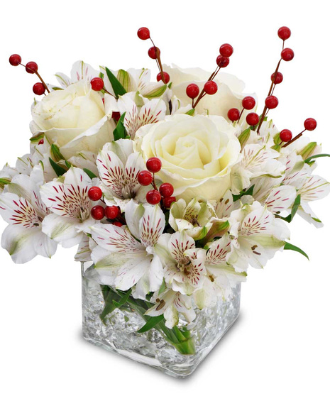 Festive Holiday Colors of Fresh Cut Tulips and Greens!