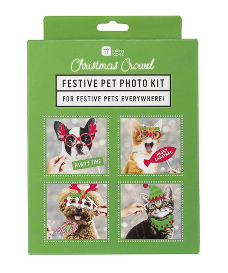 Festive Pet Photo Kit