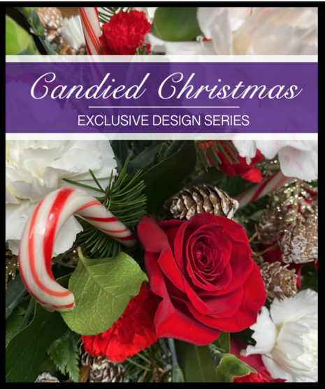 Candy Cane Celebration