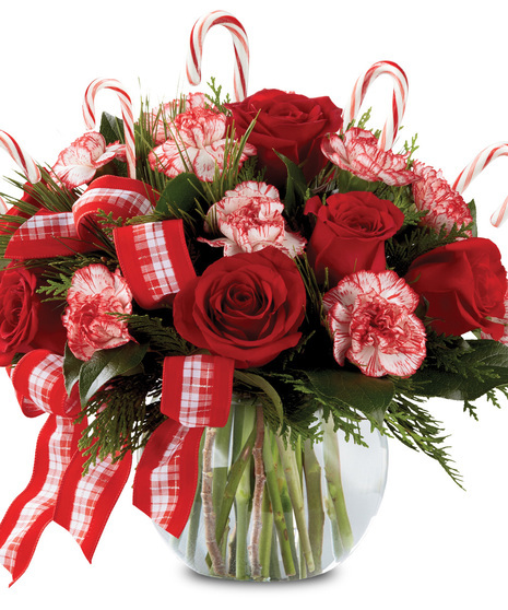 Peppermint Posies - As Shown